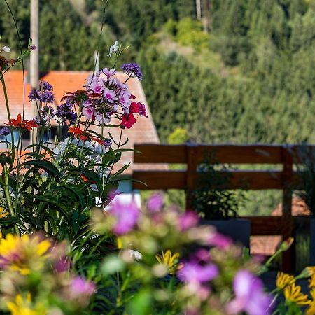Ferienwohnung Morgensonne Wolfach Exteriör bild